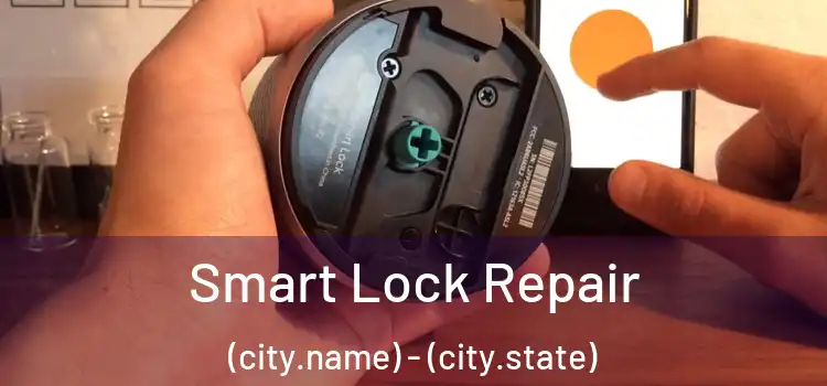 Smart Lock Repair (city.name) - (city.state)